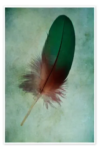 Plumas verdes de Jaroslaw Blaminsky