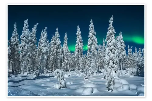 Polar night in Lapland de André Wandrei