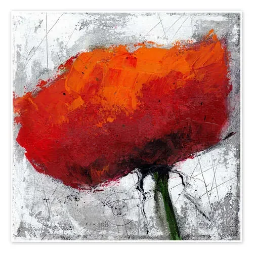 Poppy flower on grey de Vittorio Vitale