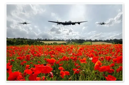 Poppy Flypast de airpowerart