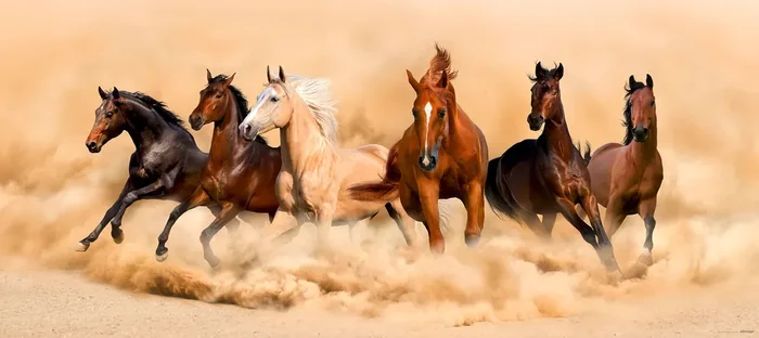 póster decorativo caballos beige y marrón de Sanders & Sanders – 600935
