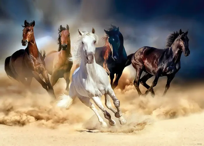 póster decorativo caballos marrón, beige y azul de Sanders & Sanders – 600711