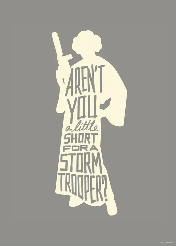 póster decorativo Leia quotes gris de Disney – 612164