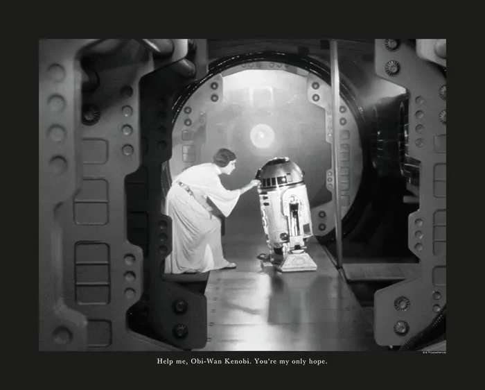 póster decorativo Star Wars Leia & R2D2 blanco y negro de Disney – 610255