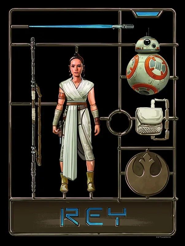 póster decorativo Star Wars Rey marrón de Disney – 611689