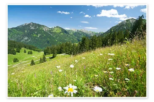 Prado en los Alpes, Allgäu de bildpics
