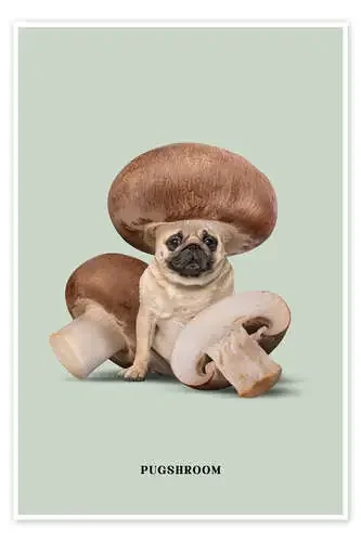 Pugshroom de Jonas Loose