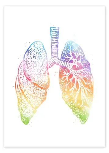 Pulmones arcoiris de Mod Pop Deco
