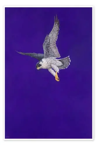 Purple Stoop de Tim Hayward Bridgeman Images