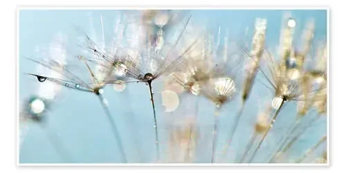 Pusteblume Pastellträume de Julia Delgado