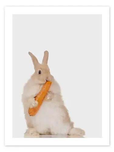 Rabbit with a carrot III de Animal Kids Collection Editors Choice