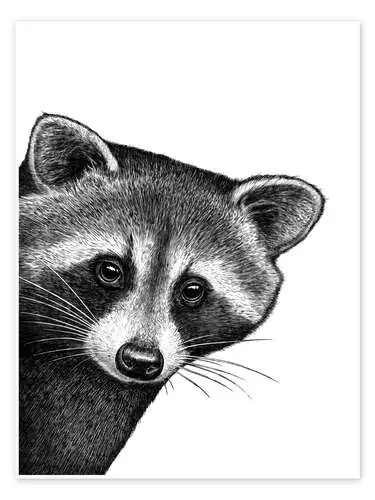 Raccoon peeking out de Nikita Korenkov