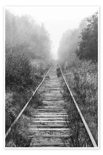 Railroad in foggy forest Editors Choice