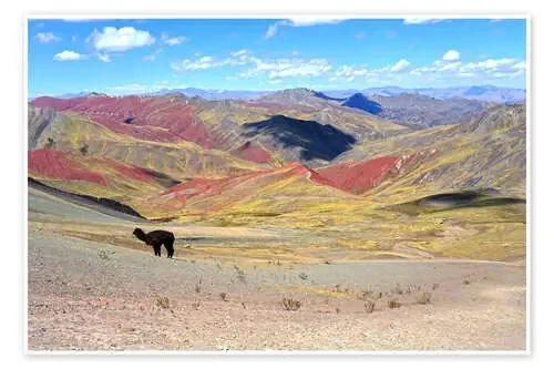 Rainbow Mountains with Alpaca de Gerhard Albicker