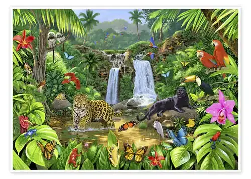 Rainforest harmony de Chris Hiett MGL Licensing