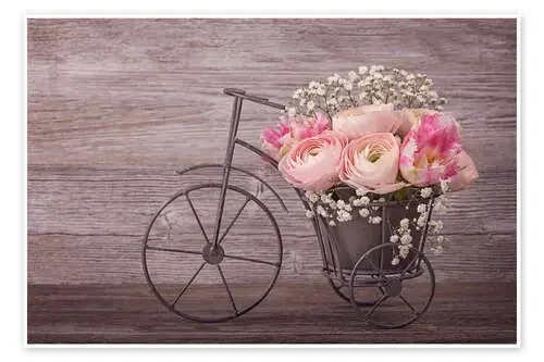 Ranunculus de Elena Schweitzer