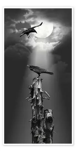 Raven in the night de Monika Jüngling
