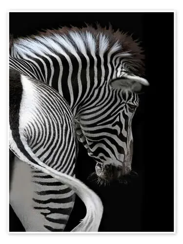 Rayas africanas II de Joachim G. Pinkawa