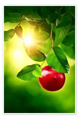 Red apple de Elena Schweitzer