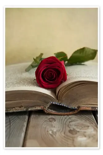 Red rose and old open book de Jaroslaw Blaminsky