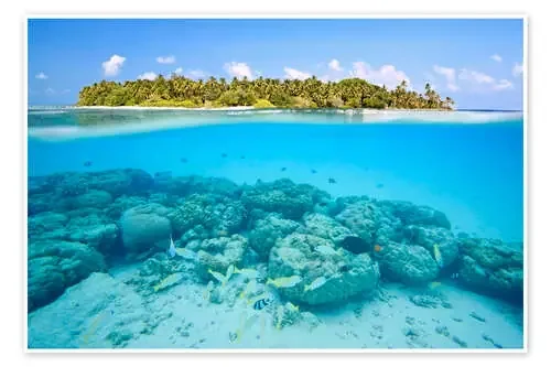Reef and tropical island, Maldives de Matteo Colombo