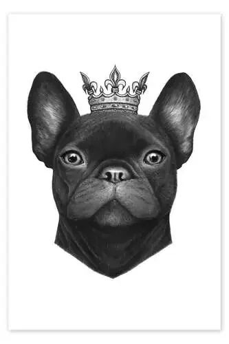 Reina bulldog francés de Valeriya Korenkova