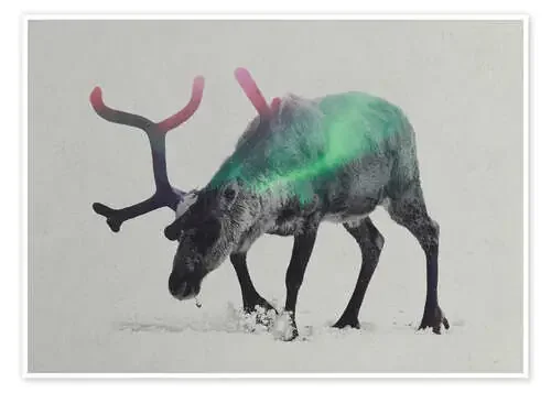 reindeer in the aurora borealis de Andreas Lie
