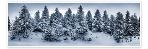 Resin in Winter de Steffen Gierok