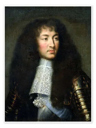 Retrato de Luis XIV de Charles Le Brun Bridgeman Images