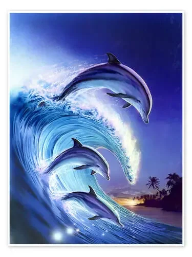 Riding the wave de Robin Koni MGL Licensing