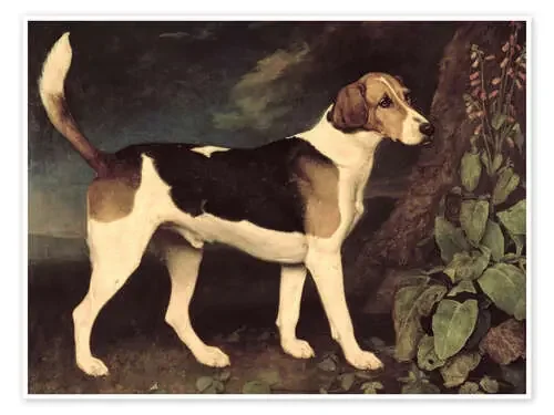 Ringwood de George Stubbs Bridgeman Images