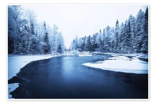 River through the forest de George Pachantouris