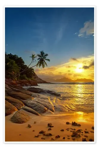 rocks and palms de Silvio Schoisswohl