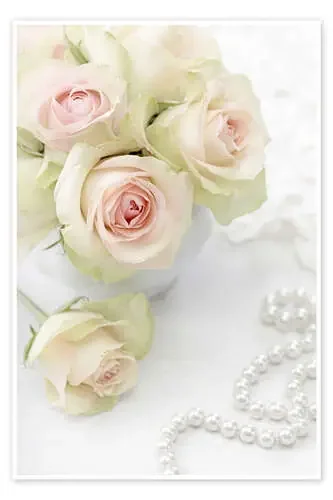 Rosas blancas y perlas II de Elena Schweitzer