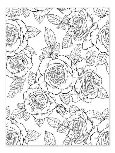 Rosas de casa de campo Editors Choice