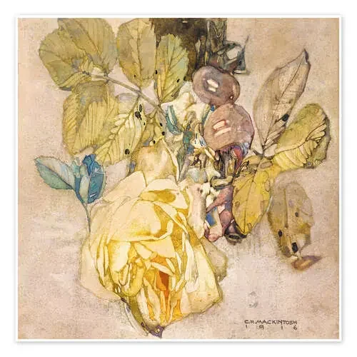 Rosas de invierno de Charles Rennie Mackintosh Master Collection