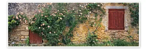 Rosas que suben en la pared de piedra vieja de Ric Ergenbright Danita Delimont