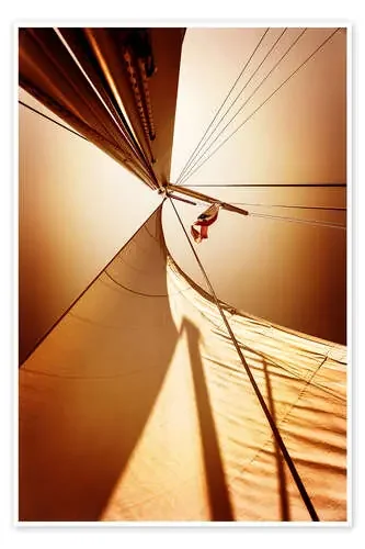 Sail in the wind I Editors Choice