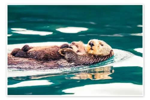 Sea Otter Mother and Pup in Inian Pass, Alaska de Michael Nolan Robert Harding