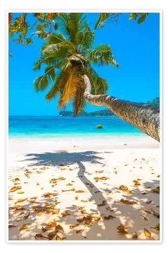 Sea view with palm tree de Jürgen Feuerer