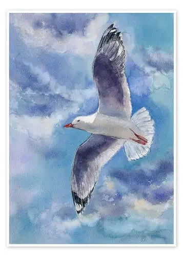 Seagull de Jitka Krause
