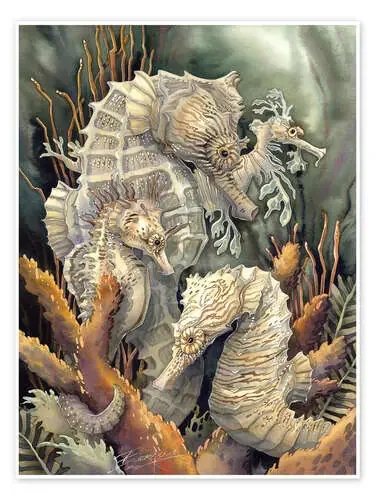 Seahorses, beyond imagination de Jody Bergsma MGL Licensing