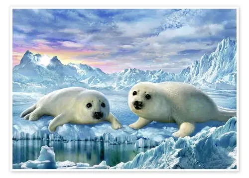 Seal pups de Adrian Chesterman MGL Licensing