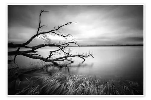 Serenity de Louis-Philippe Provost 1x