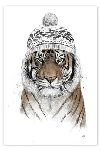 Siberian tiger de Balazs Solti