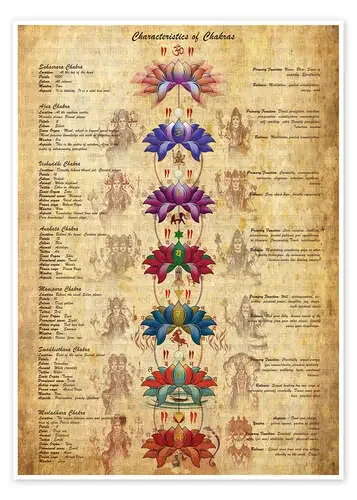 Significado de los chakras (inglés) de Sharma Satyakam