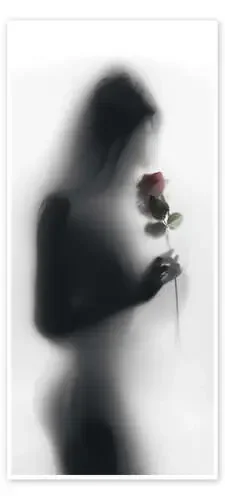 Silhouette with rose Editors Choice