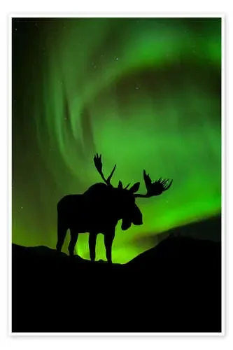 Silueta de un alce con aurora boreal de John Hyde Design Pics