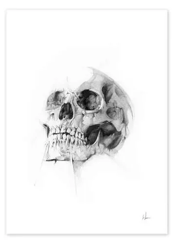 Skull de Alexis Marcou