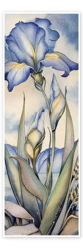 Sky iris de Jody Bergsma MGL Licensing